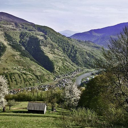 Dream Hostel Carpathians Rakhiv Eksteriør bilde