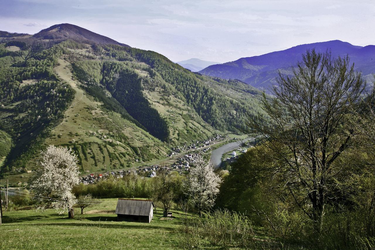 Dream Hostel Carpathians Rakhiv Eksteriør bilde
